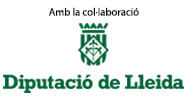 Logo Diputació de Lleida